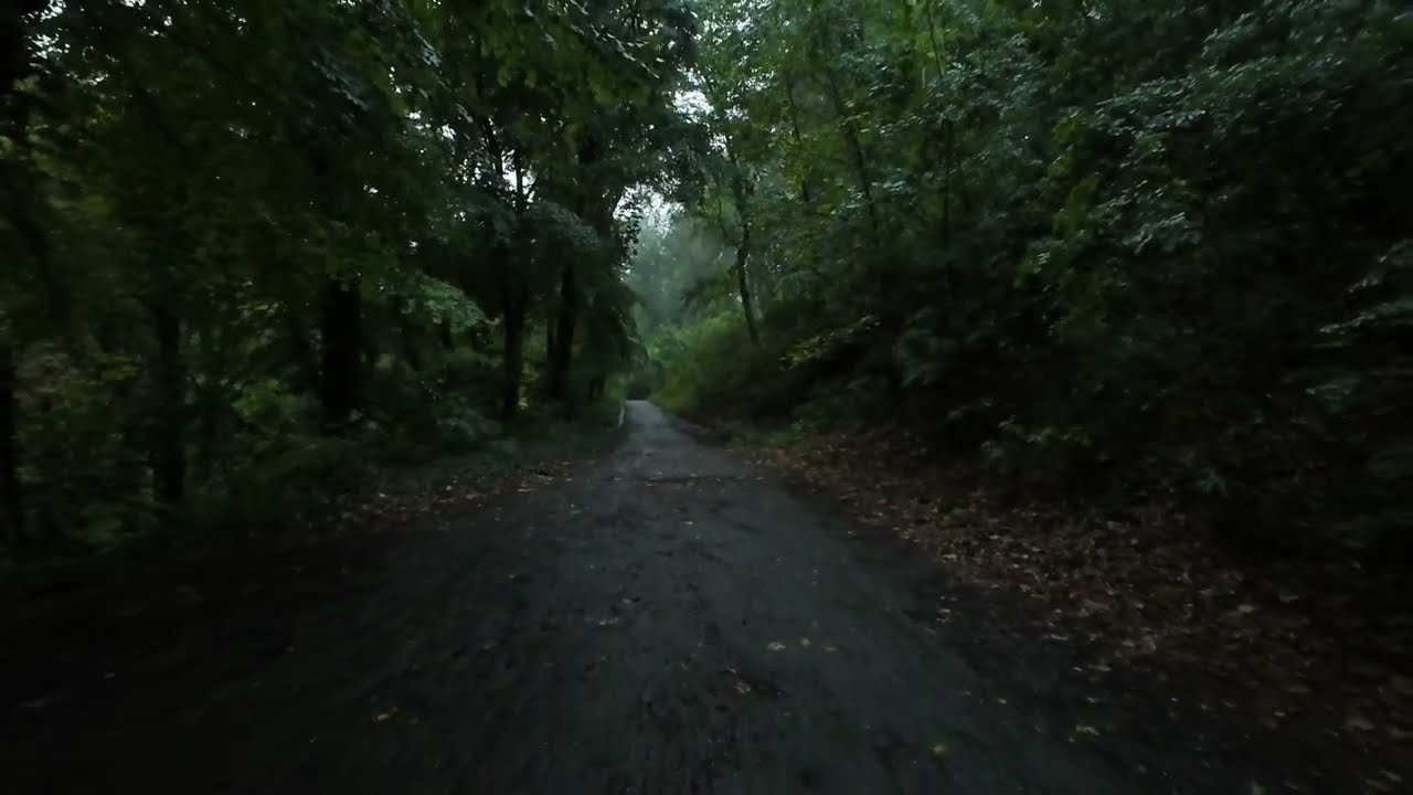 Walking in the Rain with an Umbrella – Real Nature Sounds for Sleep and Study ASMR