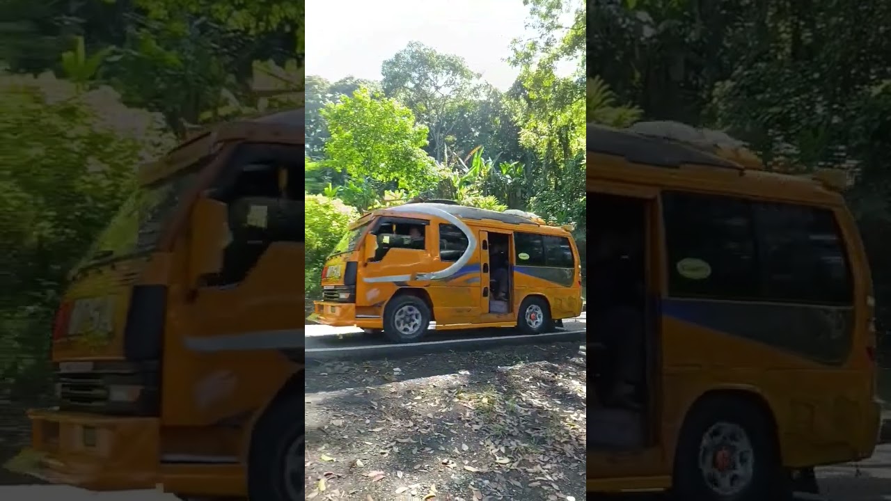 Angkutan umum, trayek cijati-cianjur kota #cantermania #angkutanumum #elf