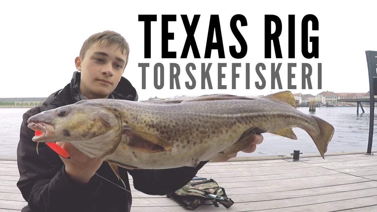 Torskefiskeri Med Texas-Rig // Codfishing With Texas-Rig - Streetfishing Copenhagen