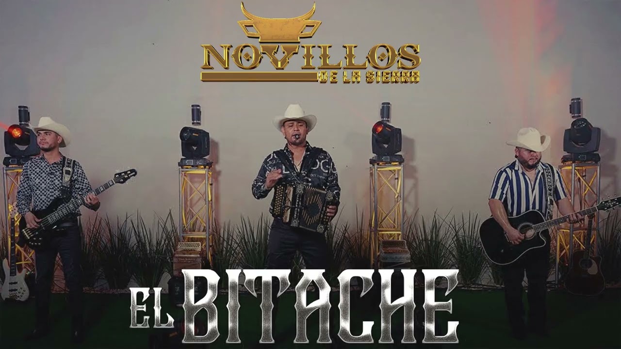 Nuevo Mix 2025 &ndash; Los Novillos de la Sierra | Corridos Sierre&ntilde;os In&eacute;ditos