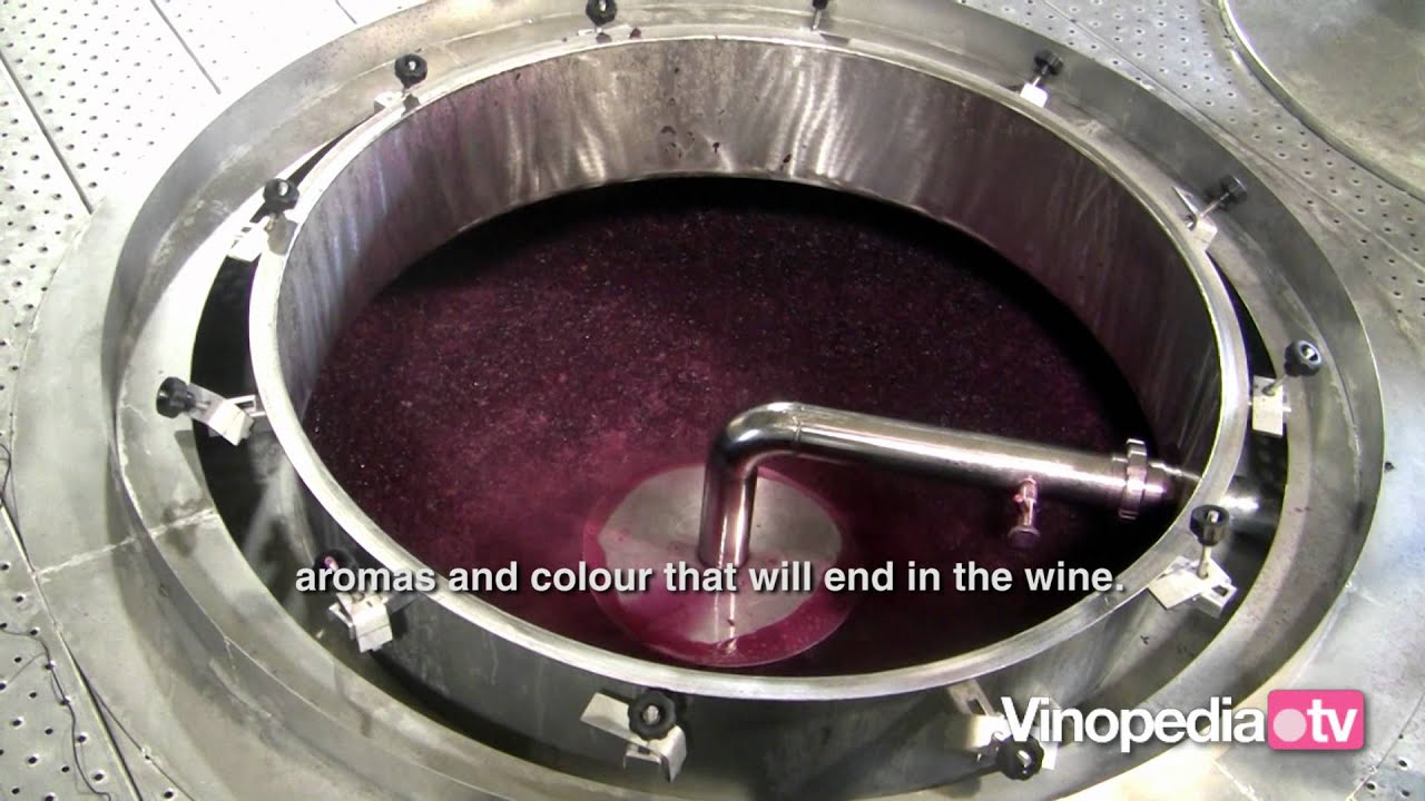 Chapter 10. Making a red wine
