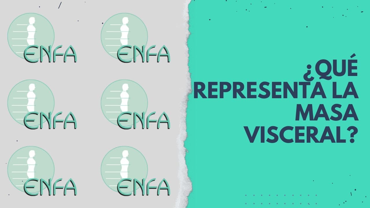 &iquest;QU&Eacute; REPRESENTA LA MASA VISCERAL?