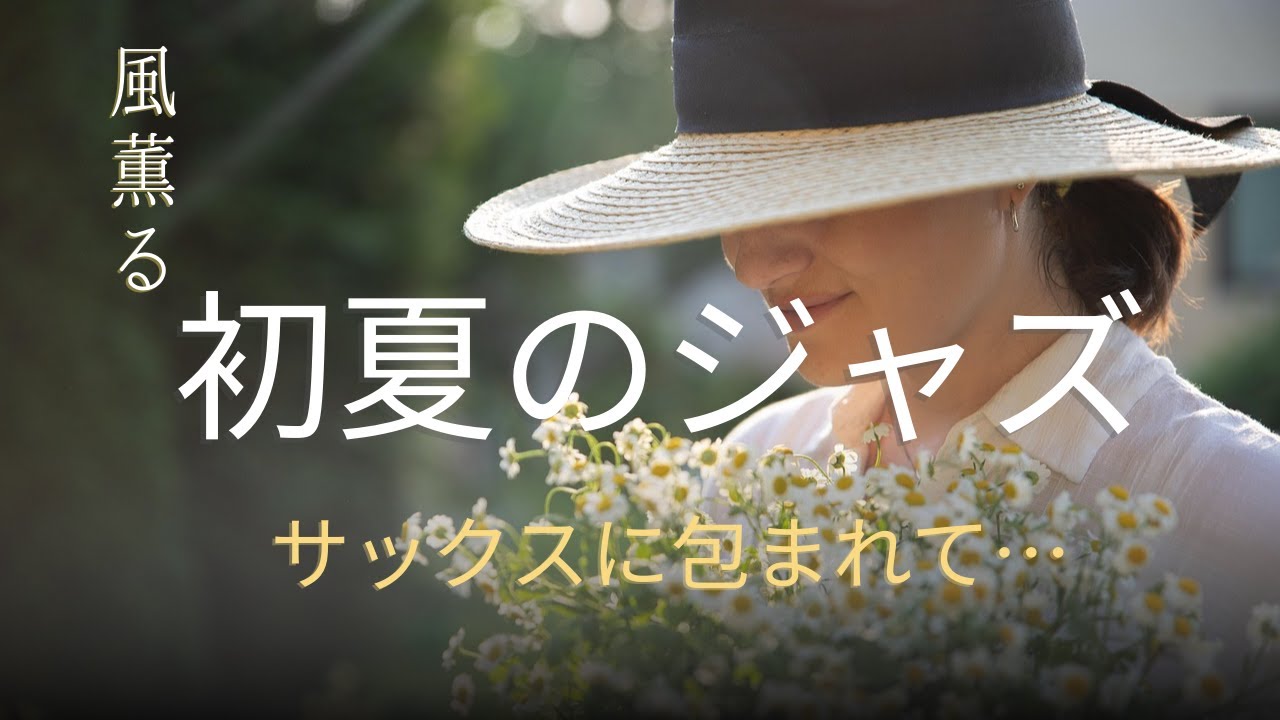 🌿初夏のジャズ｜🎷 風が運ぶサックスの音色 ｜Jazz on an early summer afternoon ｜ソフトサックス ・smooth jazz・リラックス