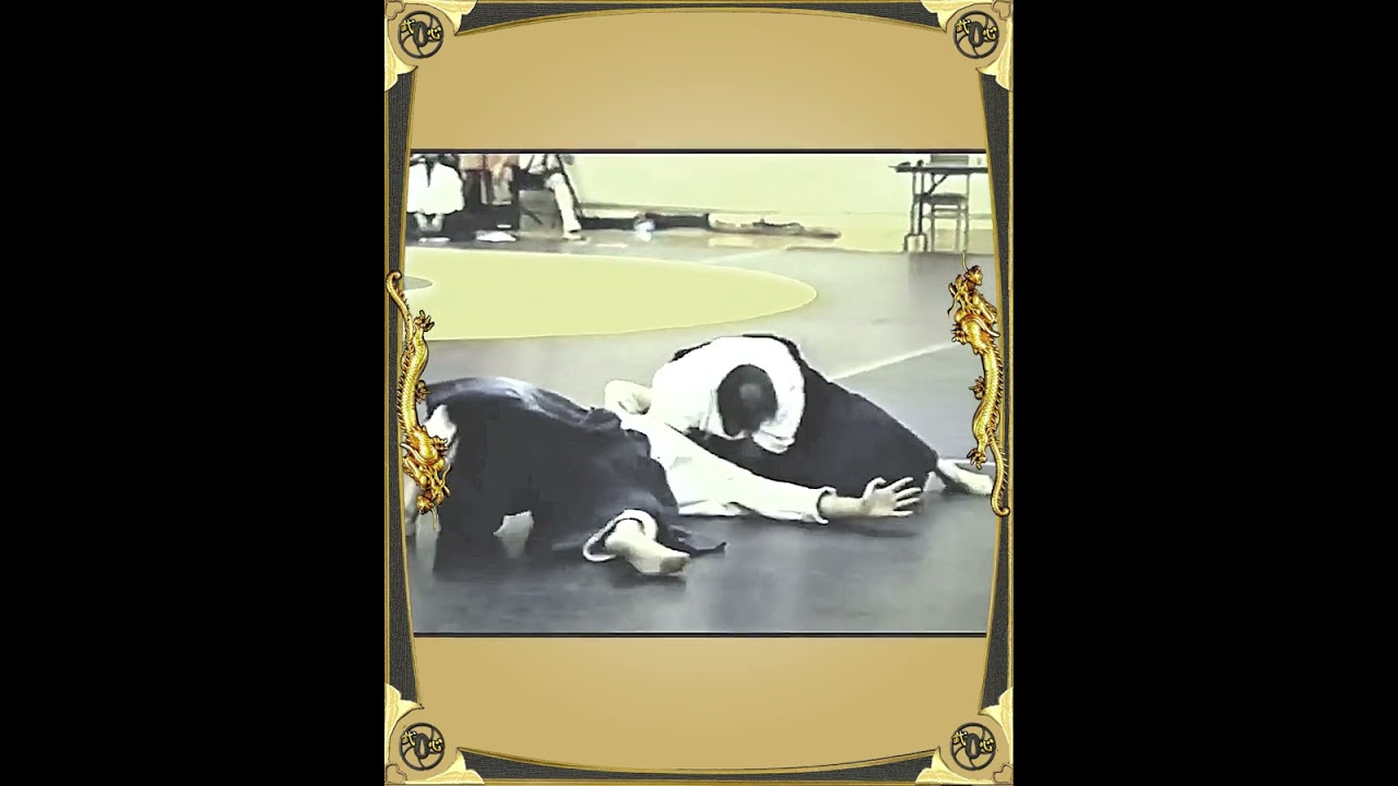 AIKIDO - Kazuo Chiba Shihan