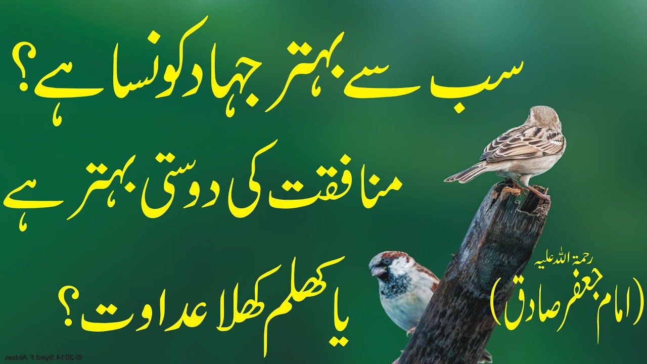 imam jaafaf ki sunehri batein / Urdu quotes / sunehry alfaz / golden words / quotes / Hijaaz tv