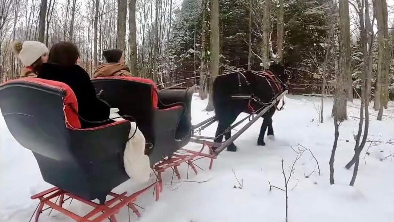 A Horse Drawn Sleigh Ride & Christmas Carols with my Daughters!!! ❄️🎄❄️🎄❄️