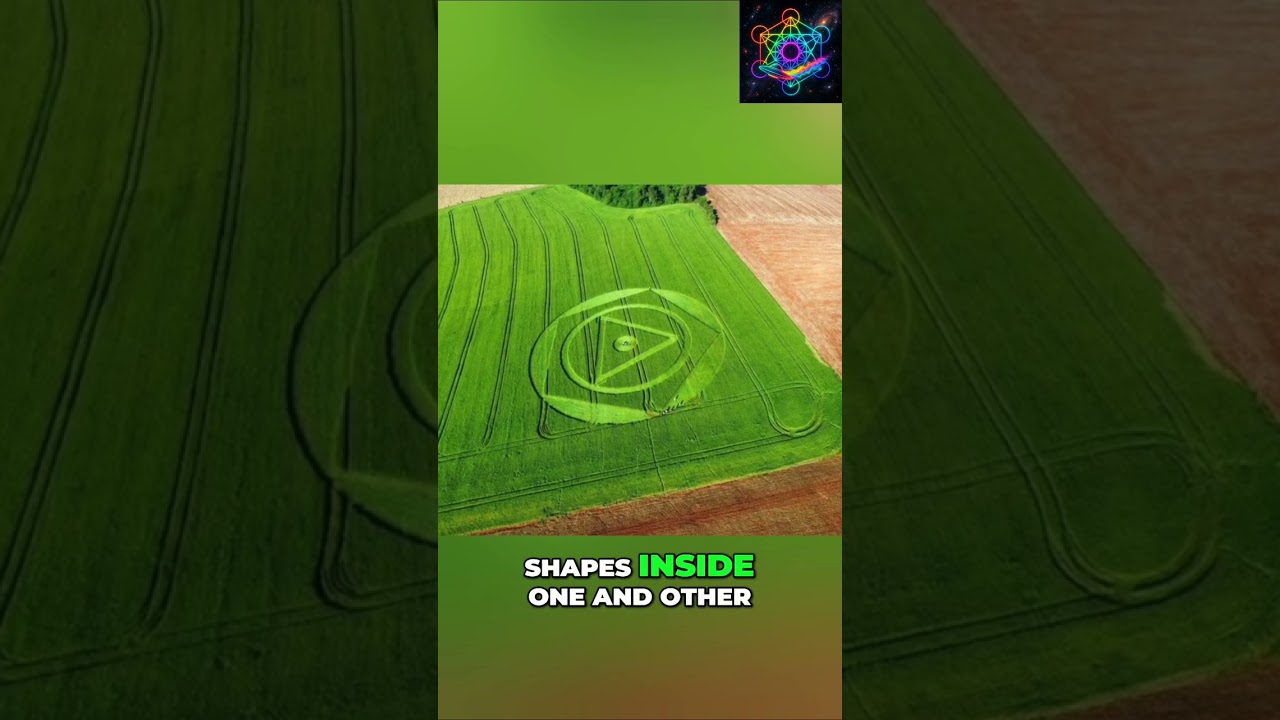 Crop Circle Appears in Brazil: Alien Message or Elaborate Hoax? #shorts