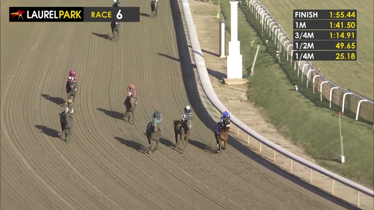 LAUREL PARK 2025-12-20 PL#06_RACE 6
