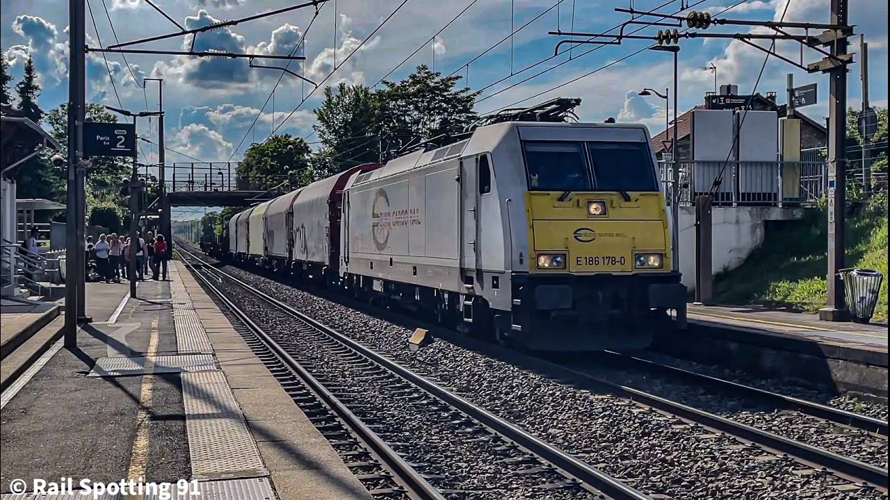 Compilation de sifflet de train 2024