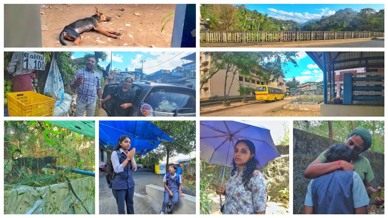 2382 🏡 നമ്മുടെ സിംബയെ പാമ്പ് കടിച്ചു 😥 ജോപ്പൻ 🥰 ജയ നാരായണിയുടെ സ്കൂളിൽ ❤️