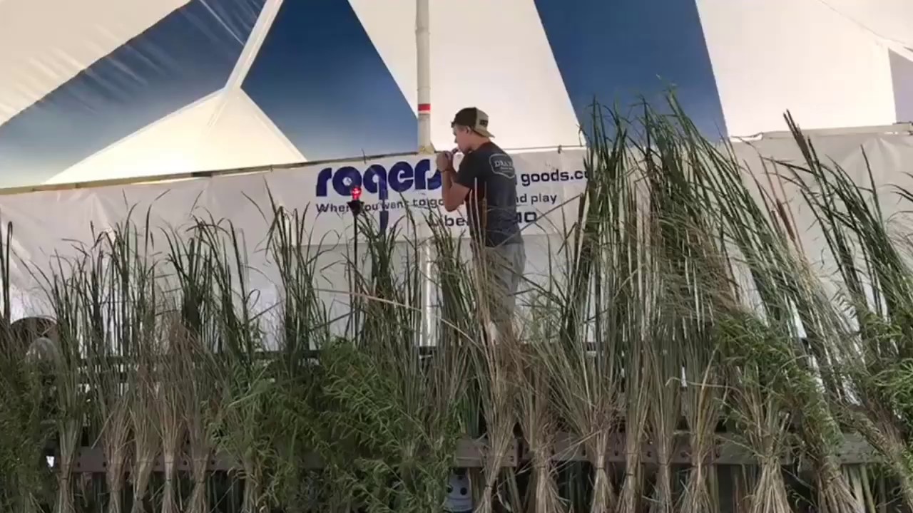 Grand National Novice Goose Calling Champion - David Goos