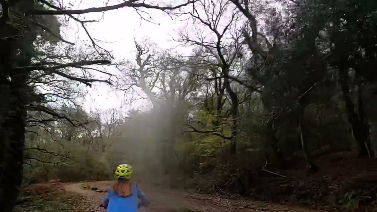 How did my sister do?