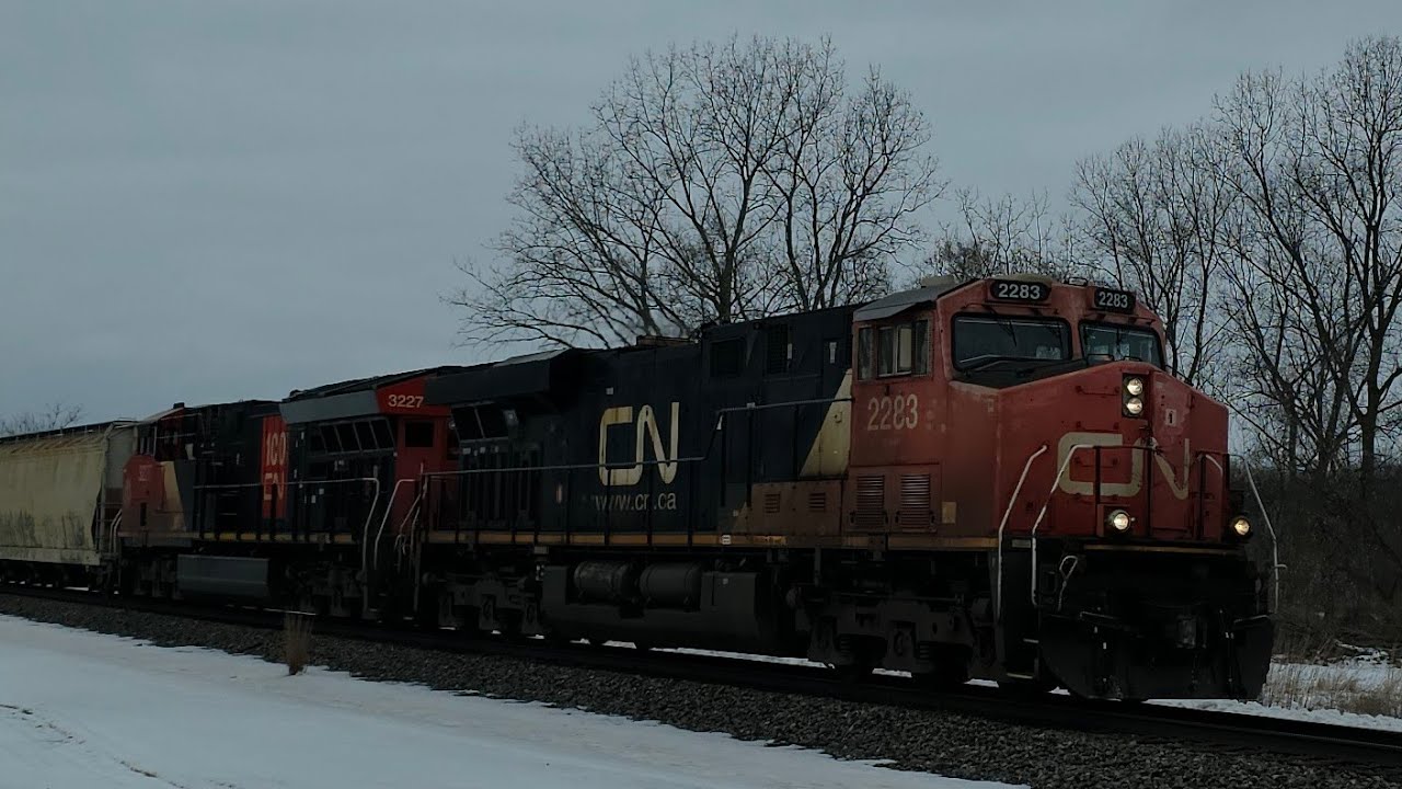 CN   M   396