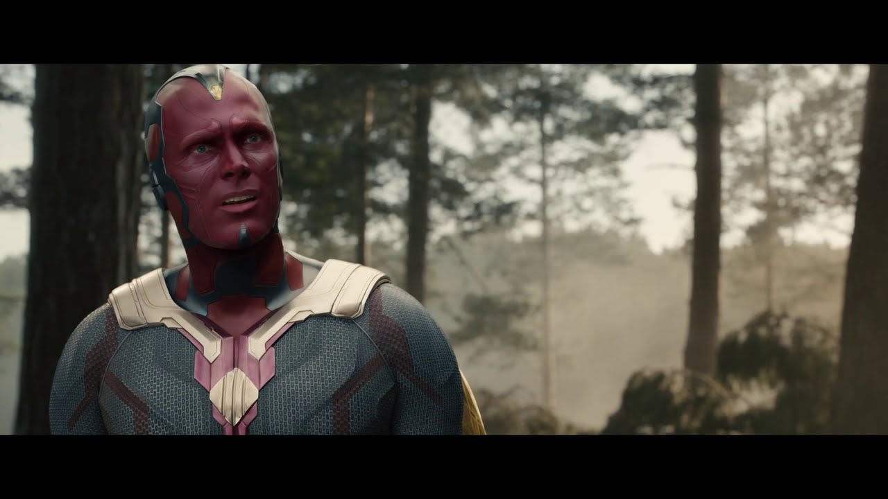 Avengers: Age of Ultron (2015) - Vision: A Thing Isn't Beautiful Because It Lasts