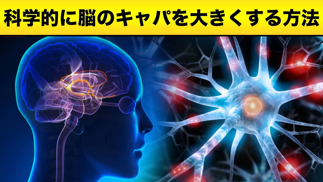 脳のワーキングメモリーを鍛えて能力を高める方法