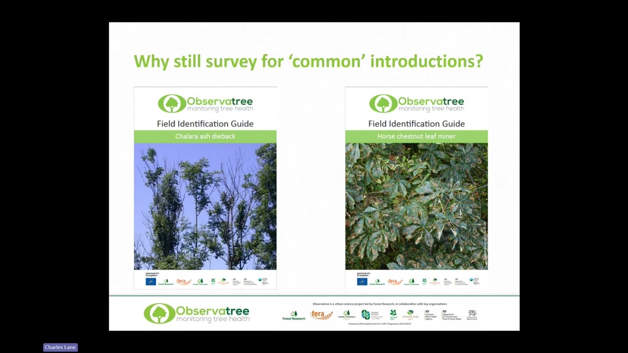 What makes a priority pest or disease for Observatree? Celebrating 10 years of Observatree.