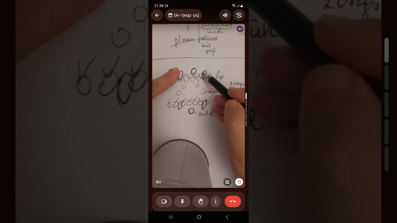 Hüceyrə divarının quruluşu.Miq sertifikasiya hazırlığı.0515156768