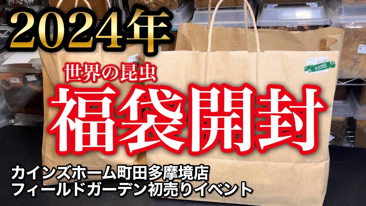 2024年 フィールドガーデンさんの初売り【世界の昆虫福袋】を開封