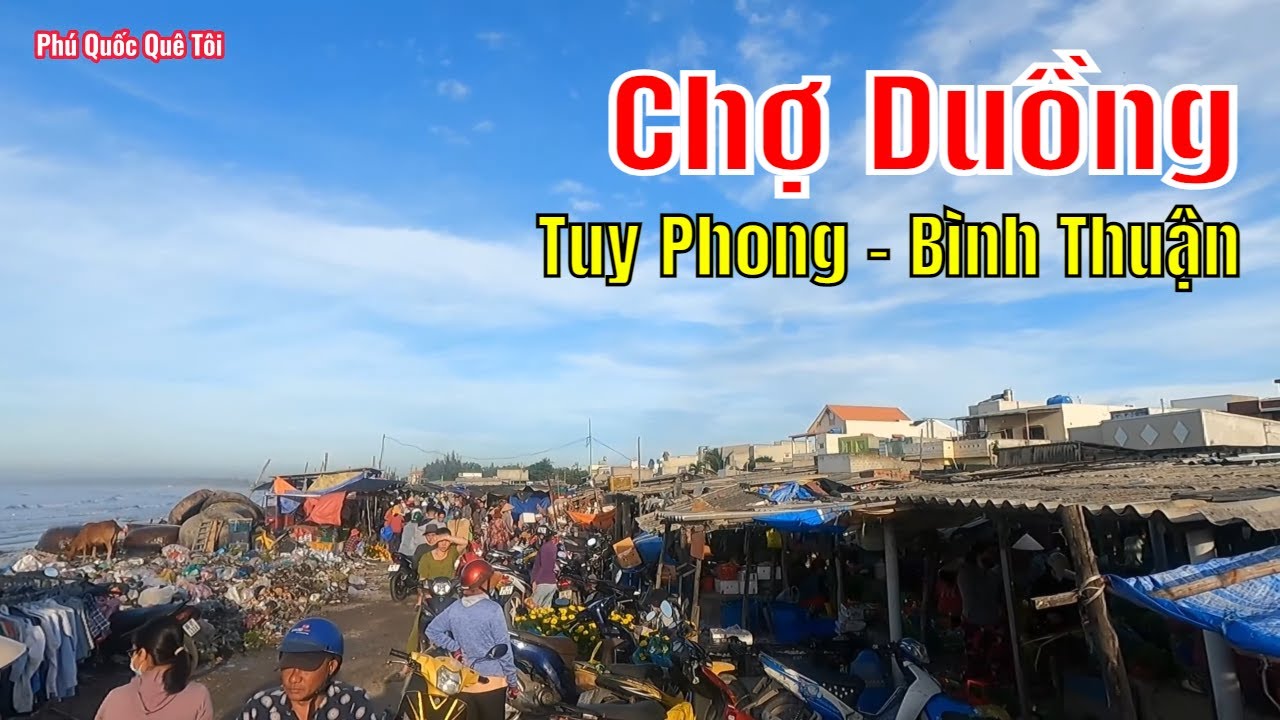 Chợ Cá Chồm Hổm Ven Biển Bình Thuận, Tấp Nập Chợ Duồng Chí Công✅✅✅