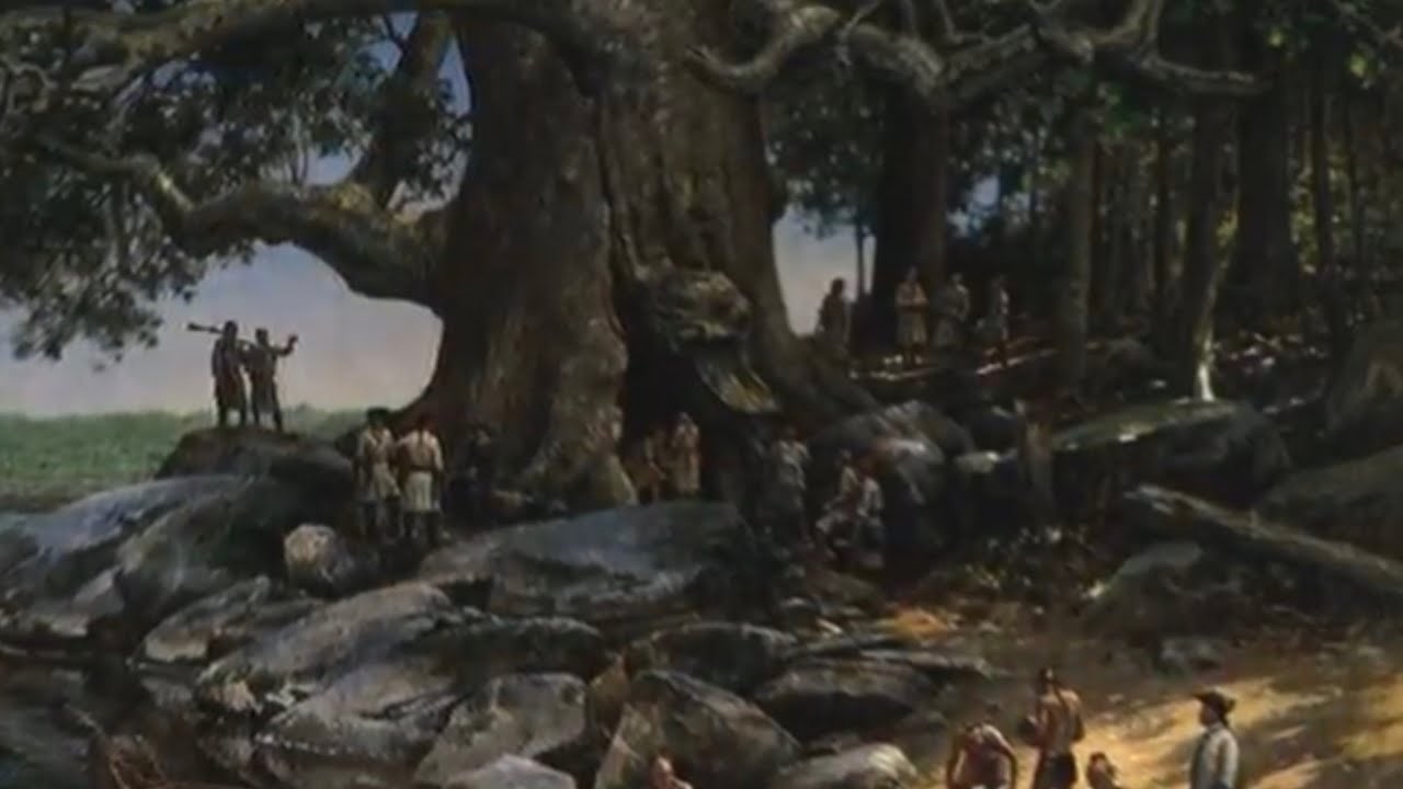 They Lived in Hollow Trees! (Appalachian Settlers and the American Sycamore)