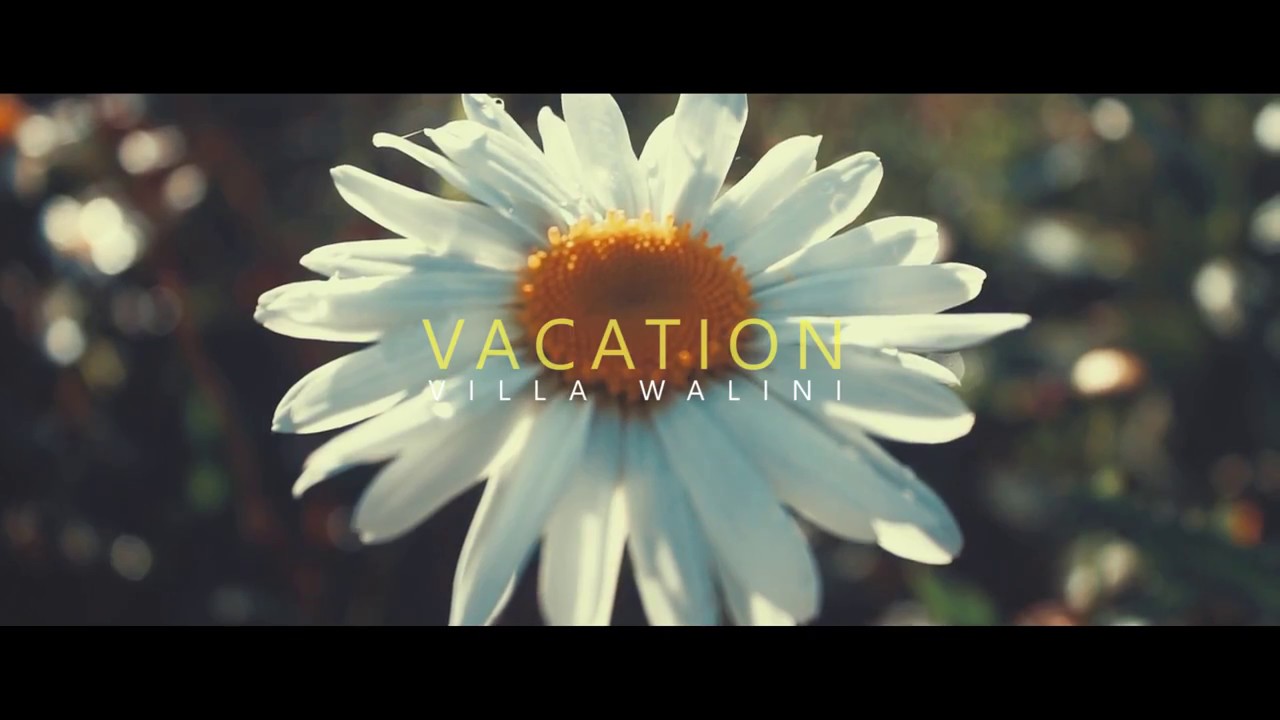 V A C A T I O N w/ Geoff Max (VILLA WALINI CINEMATIC VIDEO)
