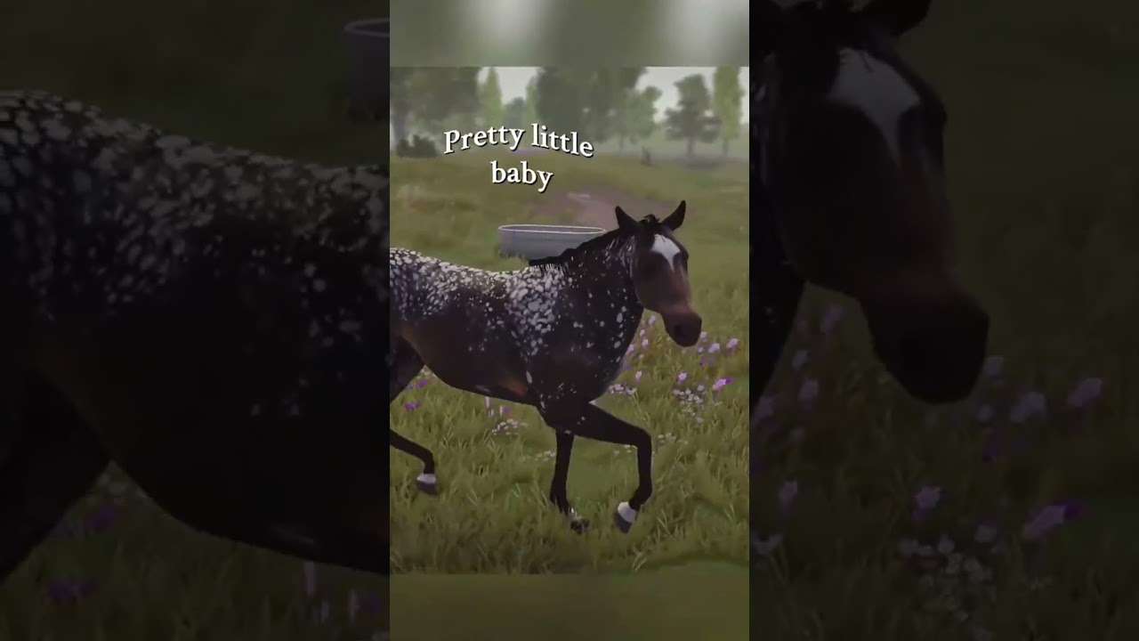 Watching my horses play in the pasture 🫶🥹