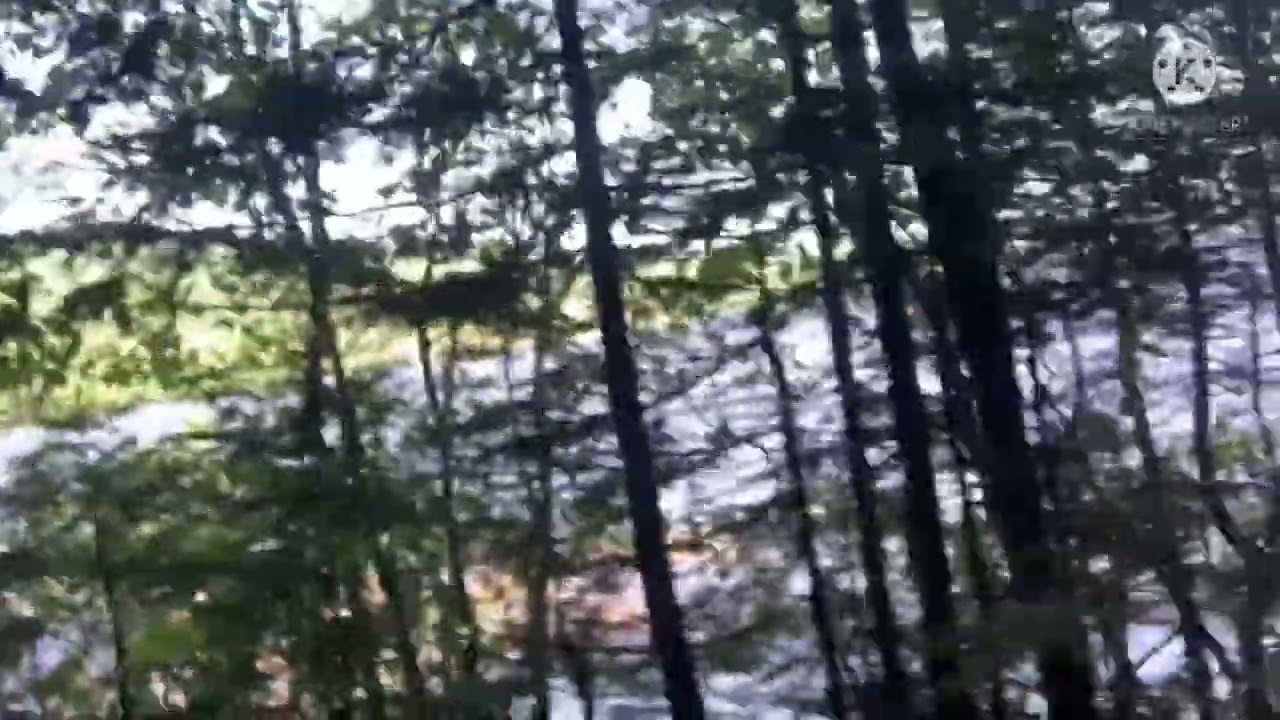 Appalachian Trail Hike GA2ME22: Day 149-Safford Notch Campsite to East Carry Pond stealth site