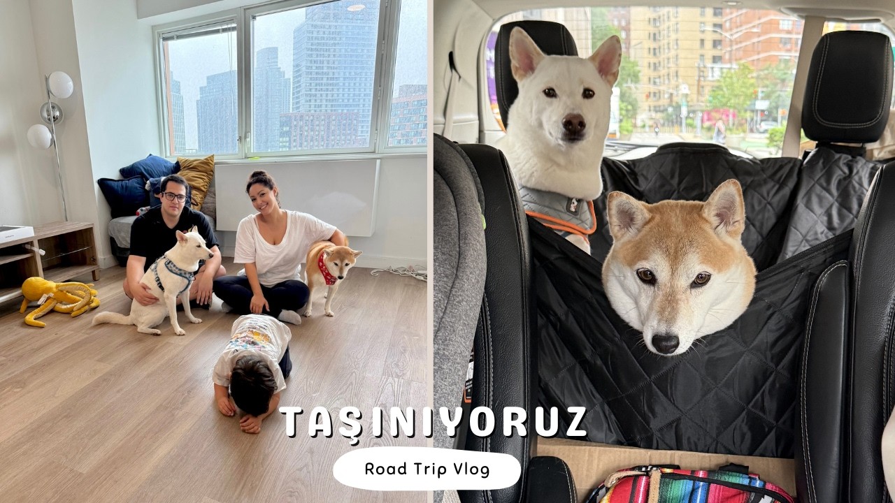 HANGİ EYALETE VE ŞEHİRE TAŞINDIK? 5 GÜNLÜK ROAD TRİP