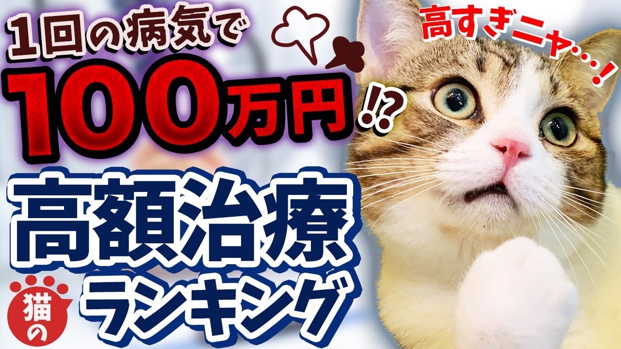 【高額になりやすい