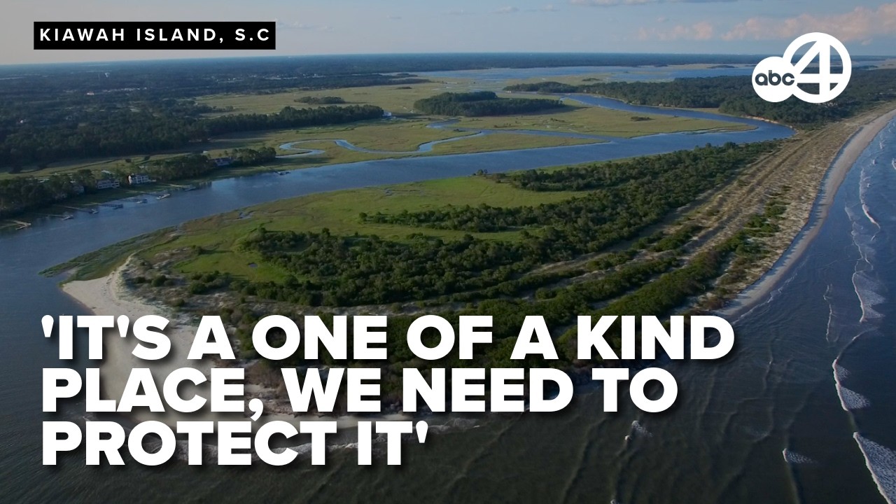 'Truly a unique natural treasure,' settlement reached to preserve and protect Captain Sams Spit