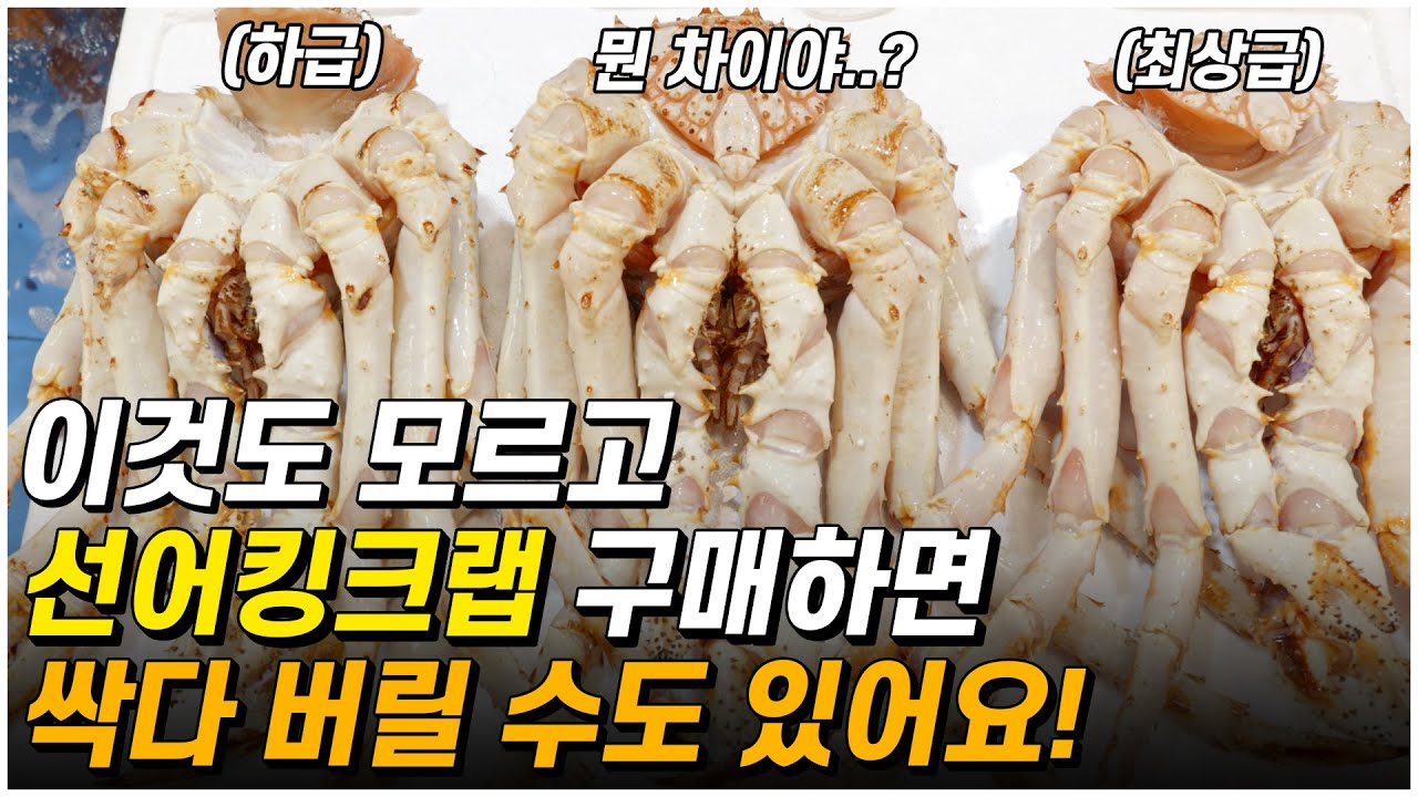 수산시장 상인이 알려주는 선어 킹크랩 고르는 꿀팁! (이 영상으로 선어 킹크랩 고르는 법 종결!)