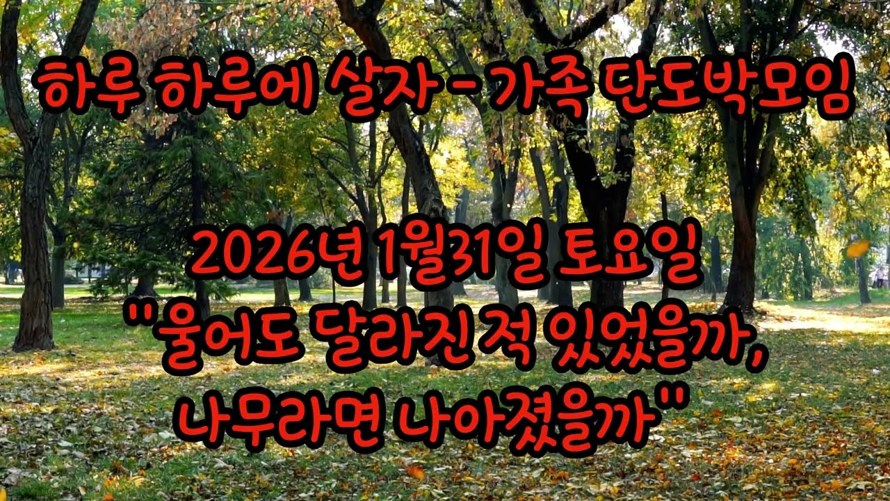 20260131 하루 하루에 살자 - 가족 단도박모임  
