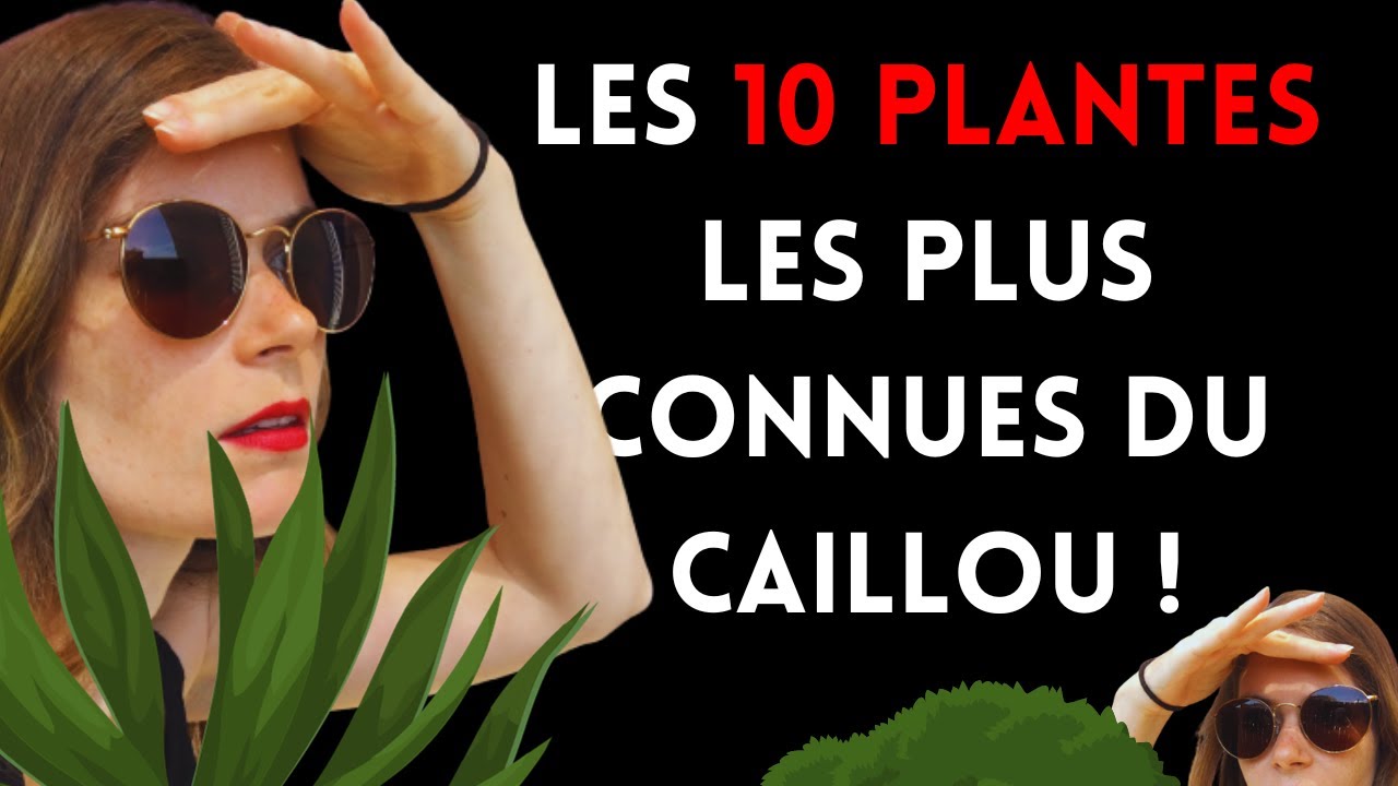Top 10 des endémiques les + connues de Nouvelle-Calédonie - Sondage [2/4]