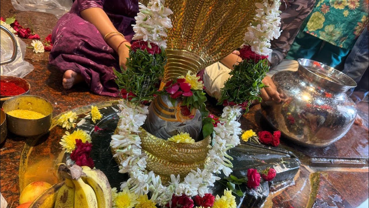 రుద్రాభిషేకం హలహాల విషాన్ని స్వీకరించిన శివయ్యకు రుద్రాభిషేకం చేస్తే చల్లదనాన్ని ప్రసాదిస్తుంది 