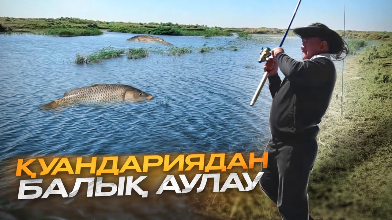 ҚАРМАҚШЫ АУДАНЫ. БАЛЫҚ КӨП ЕКЕН МЫНА ЖЕРДЕ. САЗАН МЕН ЖЫЛАНБАЛЫҚ