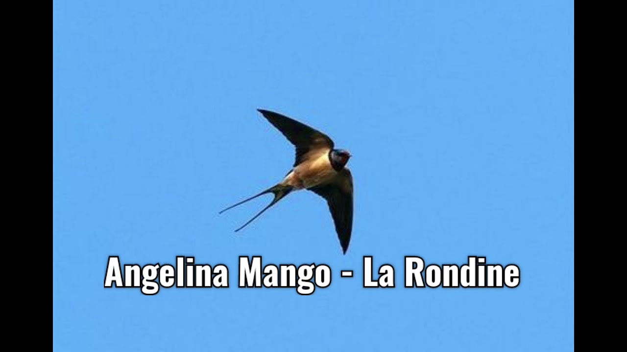 Angelina Mango - La Rondine