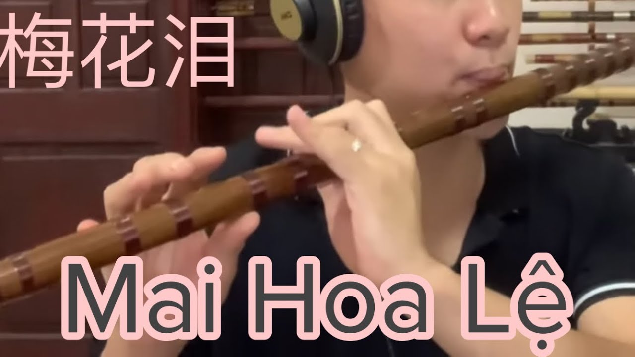 Mai Hoa Lệ - Sáo trúc Đào Duy cover | dizi TXD02 Key C