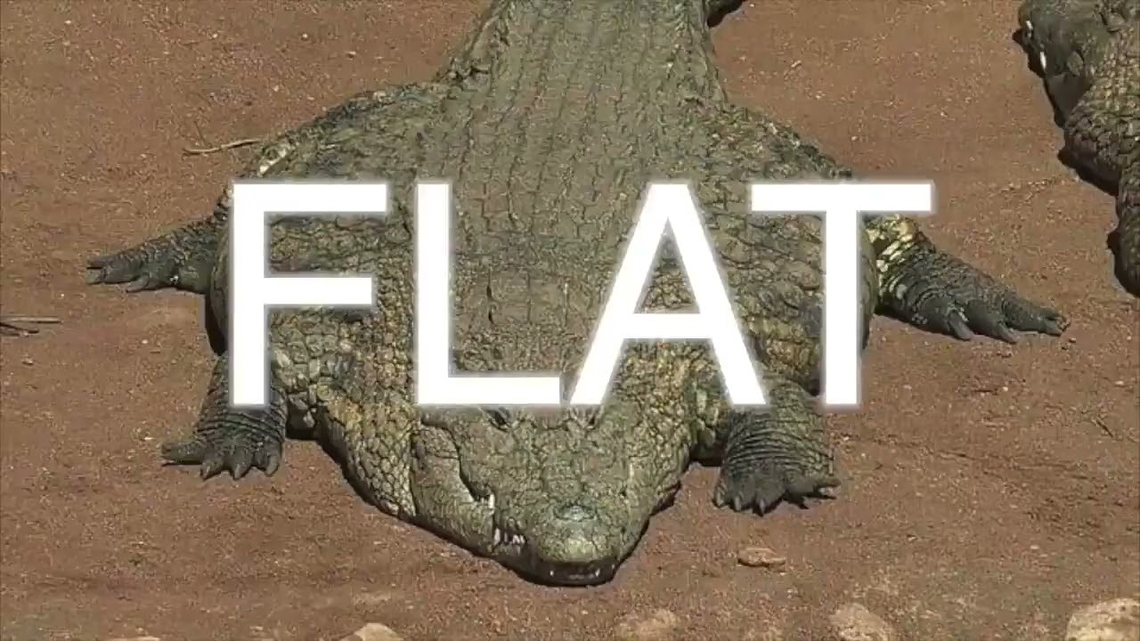 flat fuck friday