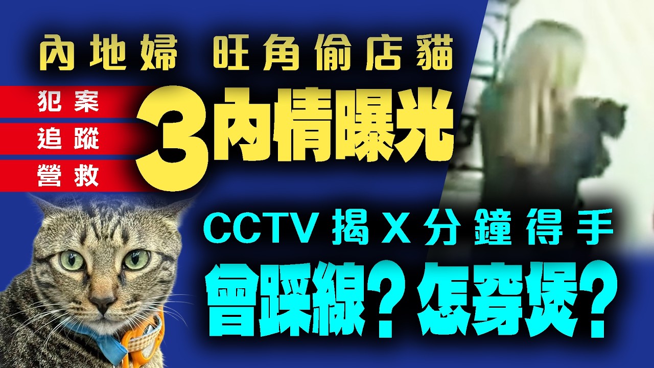內地婦旺角偷店貓 3內情曝光！犯案 追蹤 營救 1片睇清來龍去脈｜CCTV揭賊婆X分鐘 速盜「阻B」！曾踩線？識穿獵物才出招？怎穿煲？@weathermanhk #李鈺廷講天氣