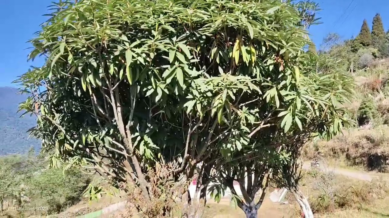 Okhre, west sikkim 