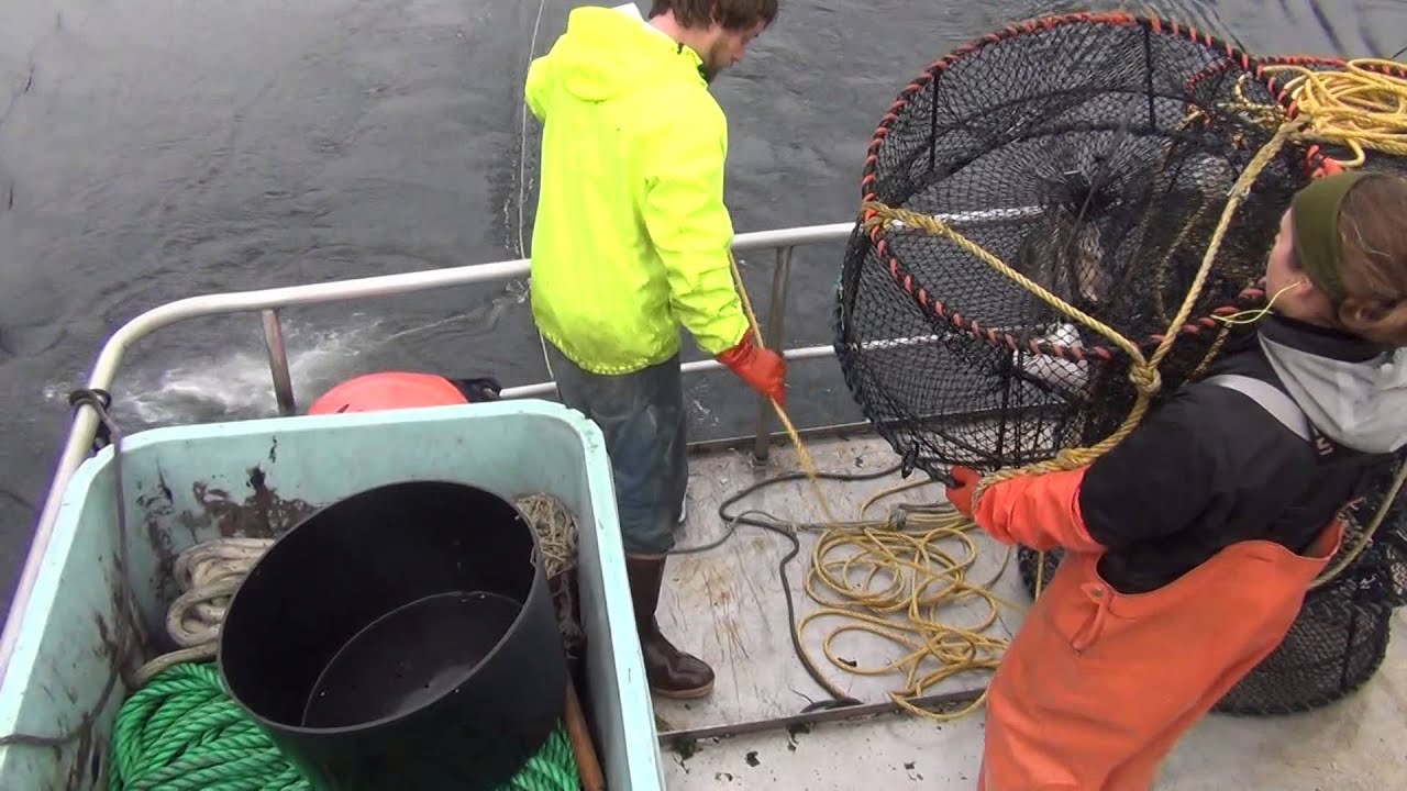 Setting Shrimp Pots