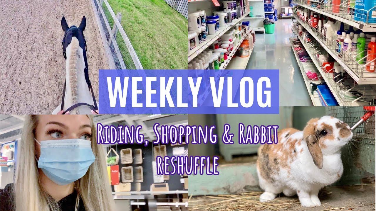 Weekly Vlog | Riding, Shopping & Rabbit Reshuffle | Lilpetchannel