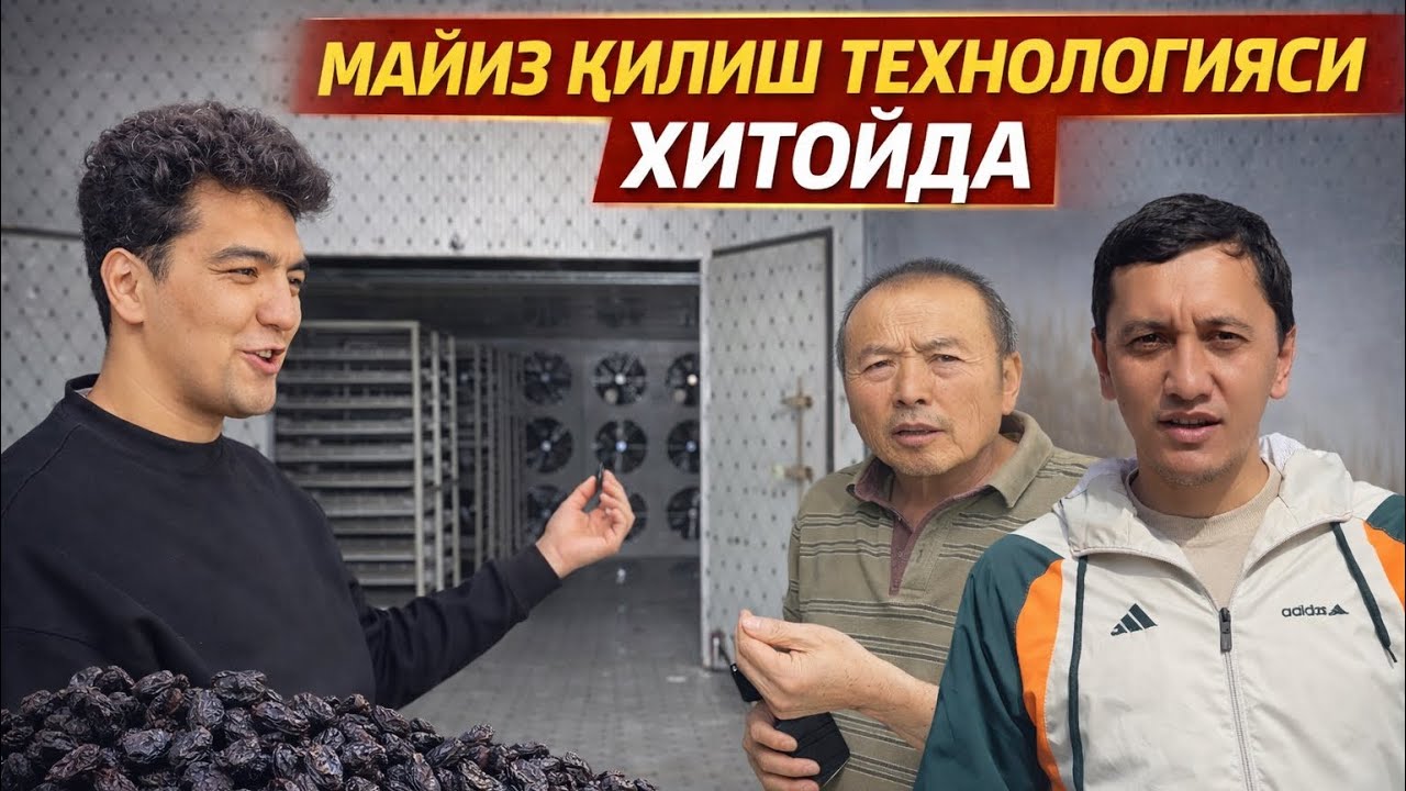 Майиз килиш контейнери Хитойда 5 кунда 60 тонна