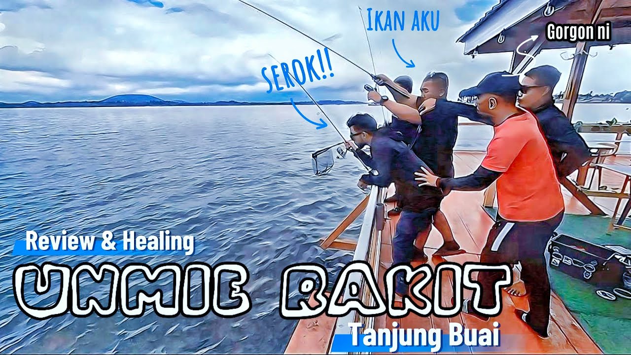 KECOH di unmie rakit‼️homestay rakit tanjung buai | panen ikan gred A✅#fishingvideo #homestay #12
