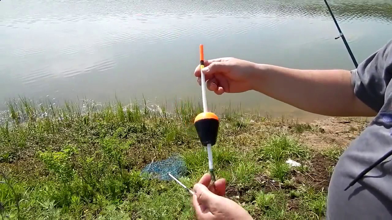 Ловля толстолобика на убийцу толстолоба  Горох каша на толстолобика рецепты