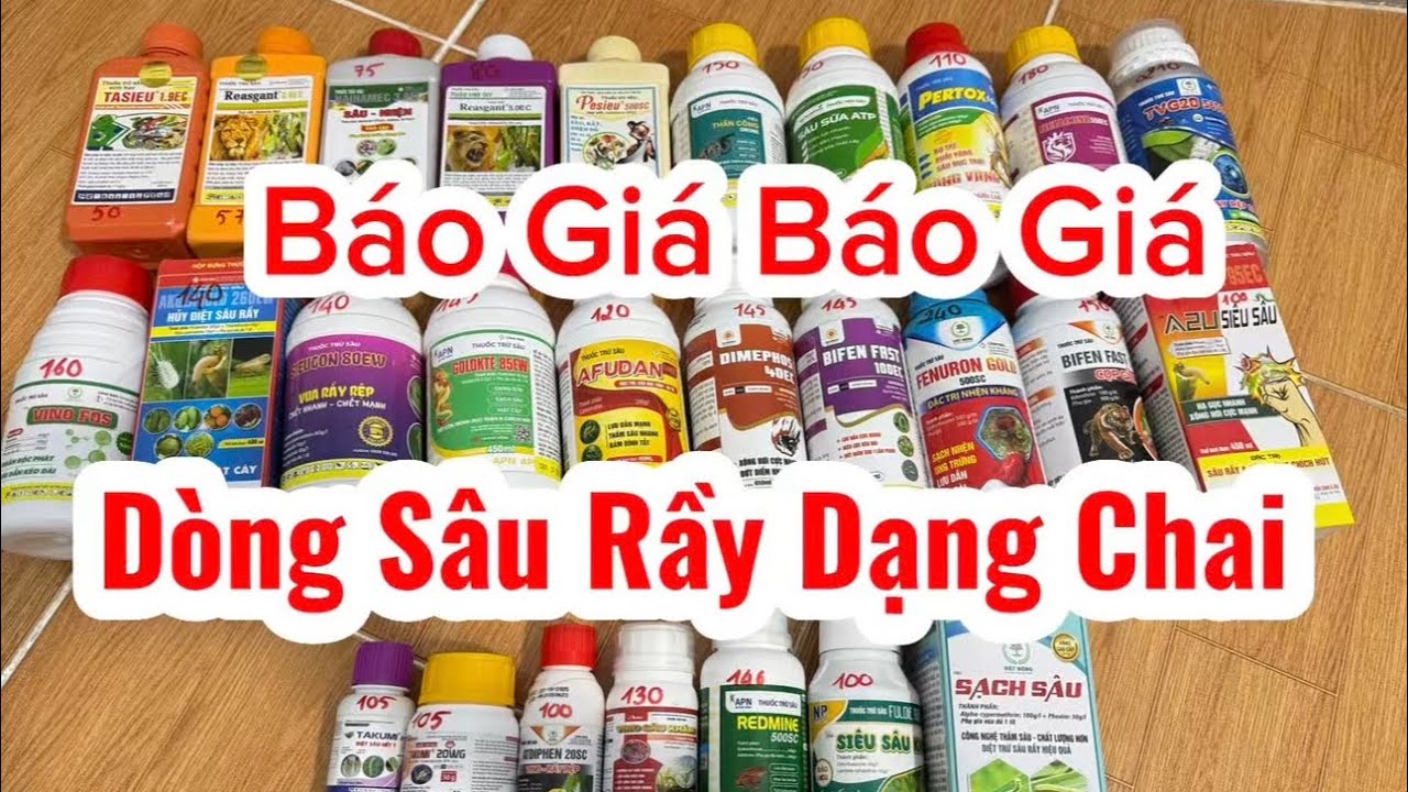Cập nhập giới thiệu và báo giá sâu rầy dạng chai #basieu #anphatnong #saurieng 