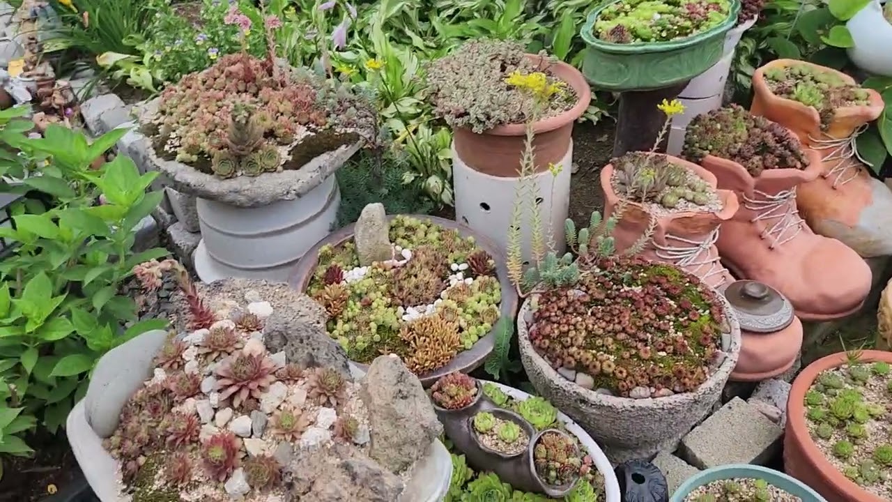 비가림과  차광막  해줬어요  올여름은  안전하게  잘지나갈것  같아요