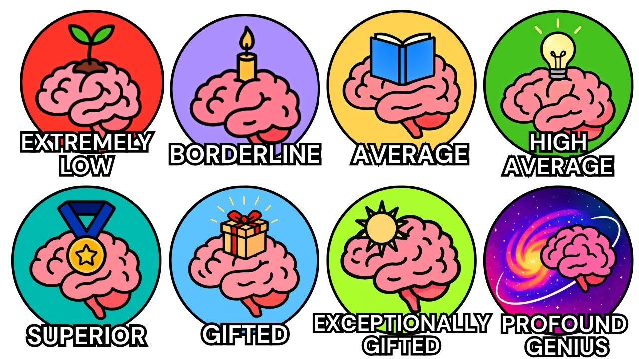 Every Level of Intelligence Explained In Detail