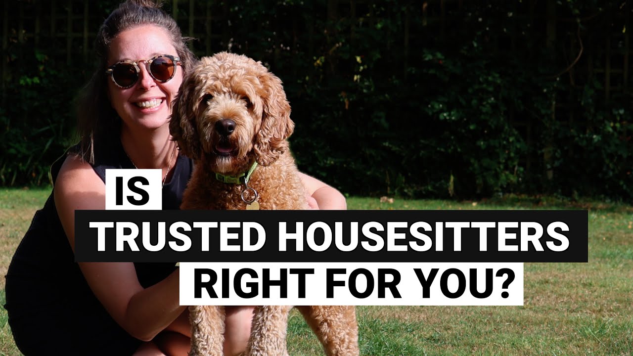 9 things to know about dog sitting | Is TRUSTED HOUSESITTERS right for you?