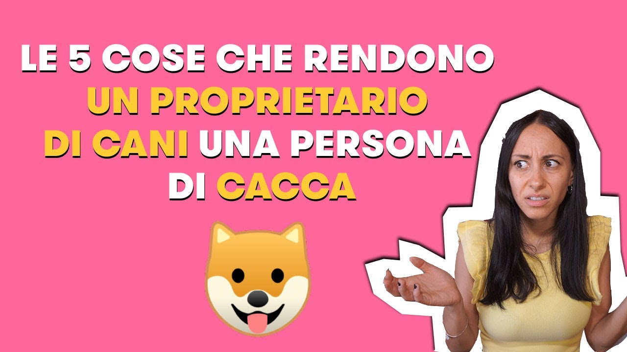 Le 5 cose che rendono un proprietario di CANI una persona di CACCA